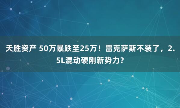 天胜资产 50万暴跌至25万！雷克萨斯不装了，2.5L混动硬刚新势力？